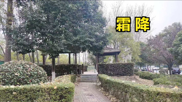 乐配网 明日霜降，有钱没钱，记得“吃3样，煮3样，忌3样”，安稳入冬​