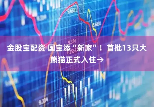 金股宝配资 国宝添“新家”！首批13只大熊猫正式入住→