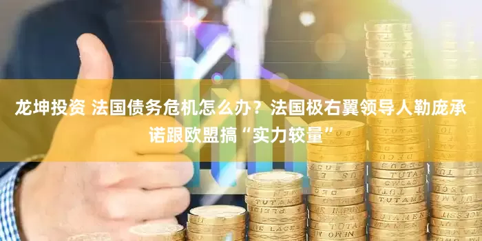 龙坤投资 法国债务危机怎么办？法国极右翼领导人勒庞承诺跟欧盟搞“实力较量”